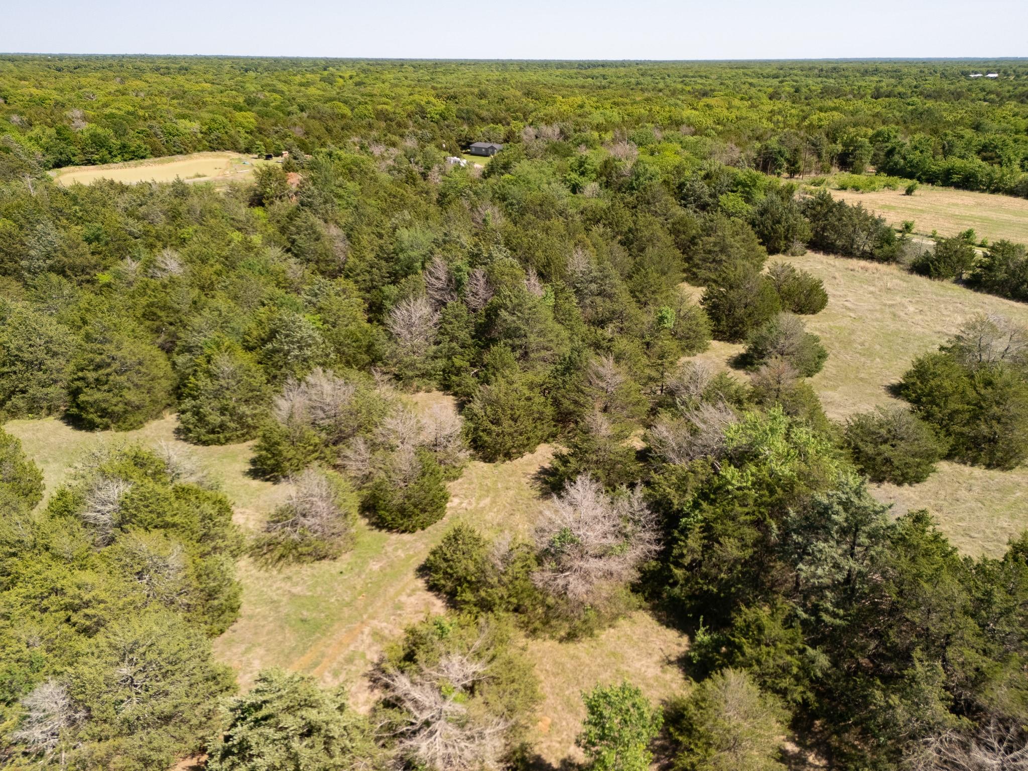 13 acre tract near Lone Oak, Hopkins County — thumbnail 3