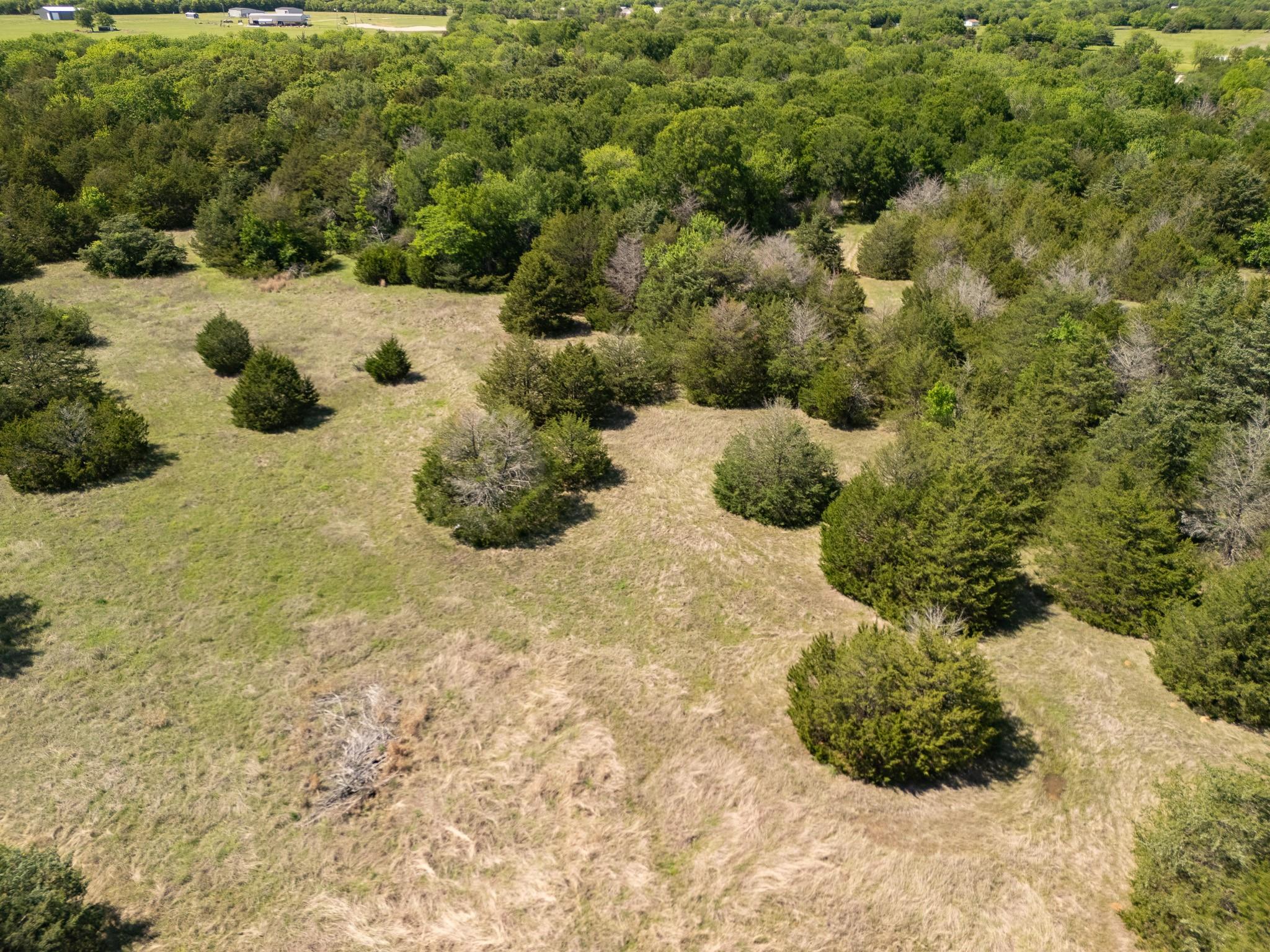 13 acre tract near Lone Oak, Hopkins County — thumbnail 4