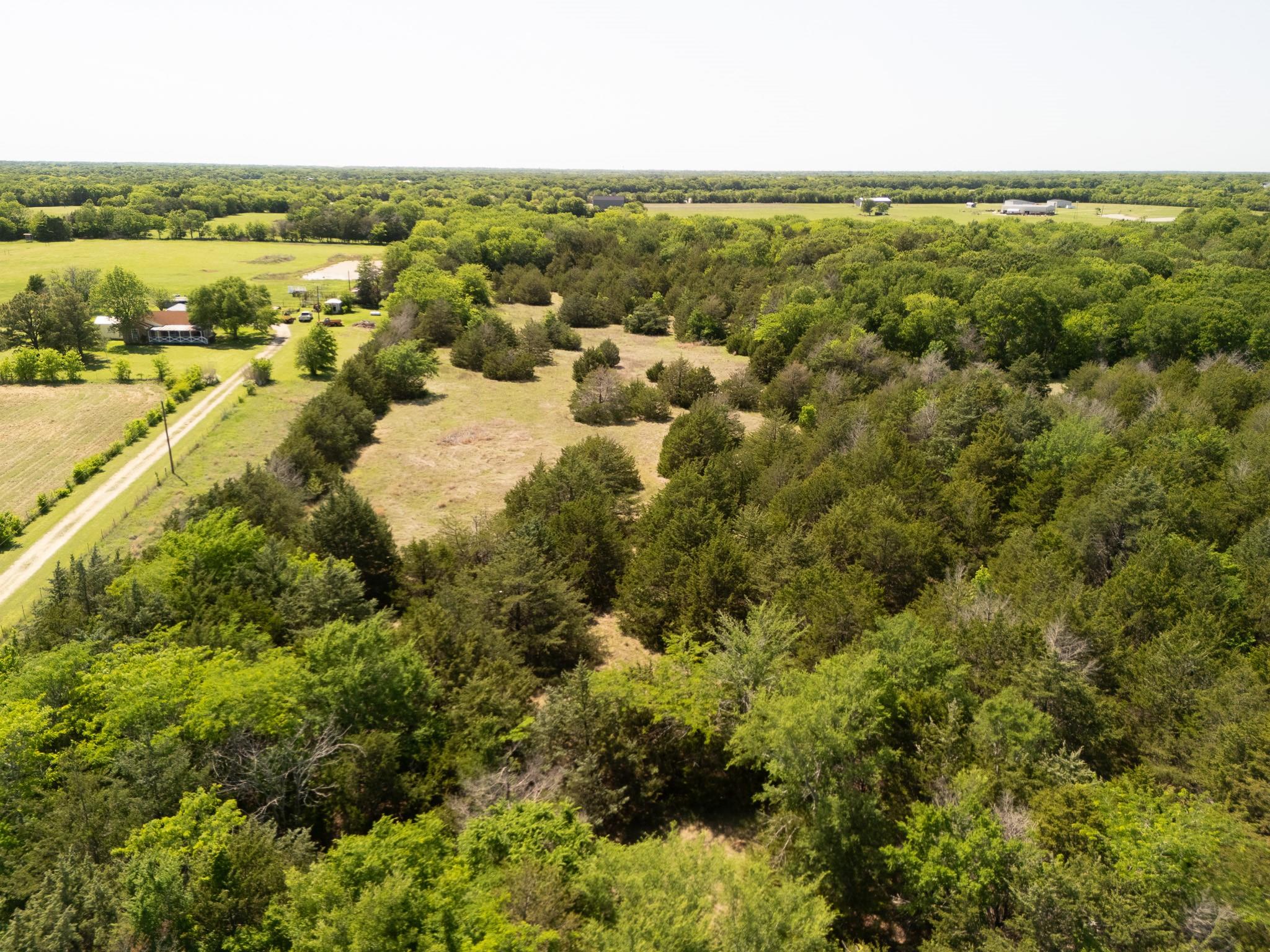 13 acre tract near Lone Oak, Hopkins County — thumbnail 6