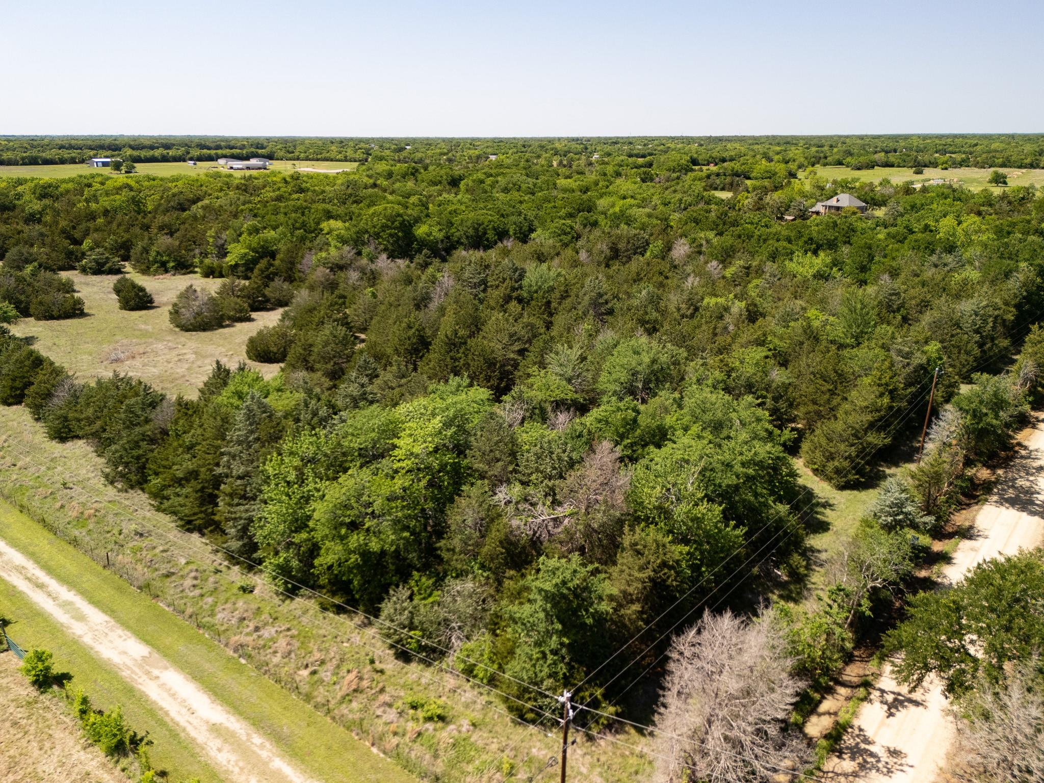13 acre tract near Lone Oak, Hopkins County — thumbnail 7