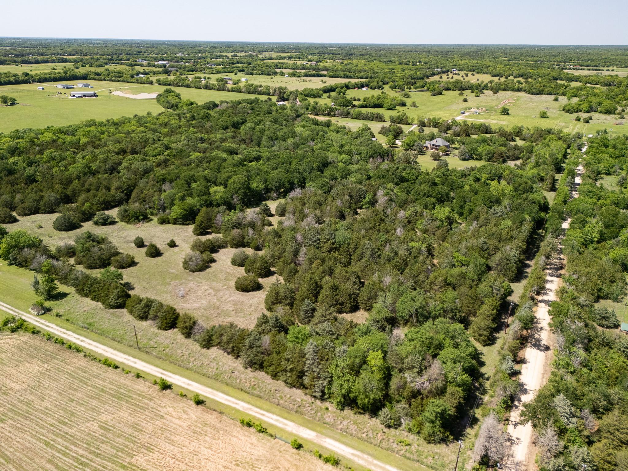 13 acre tract near Lone Oak, Hopkins County — thumbnail 8