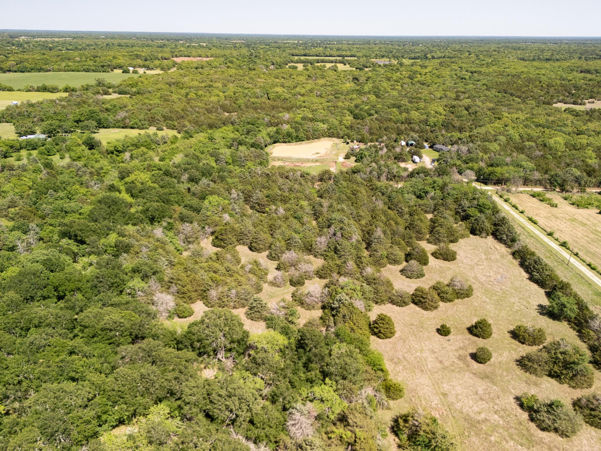 13 acre tract near Lone Oak, Hopkins County — thumbnail 10
