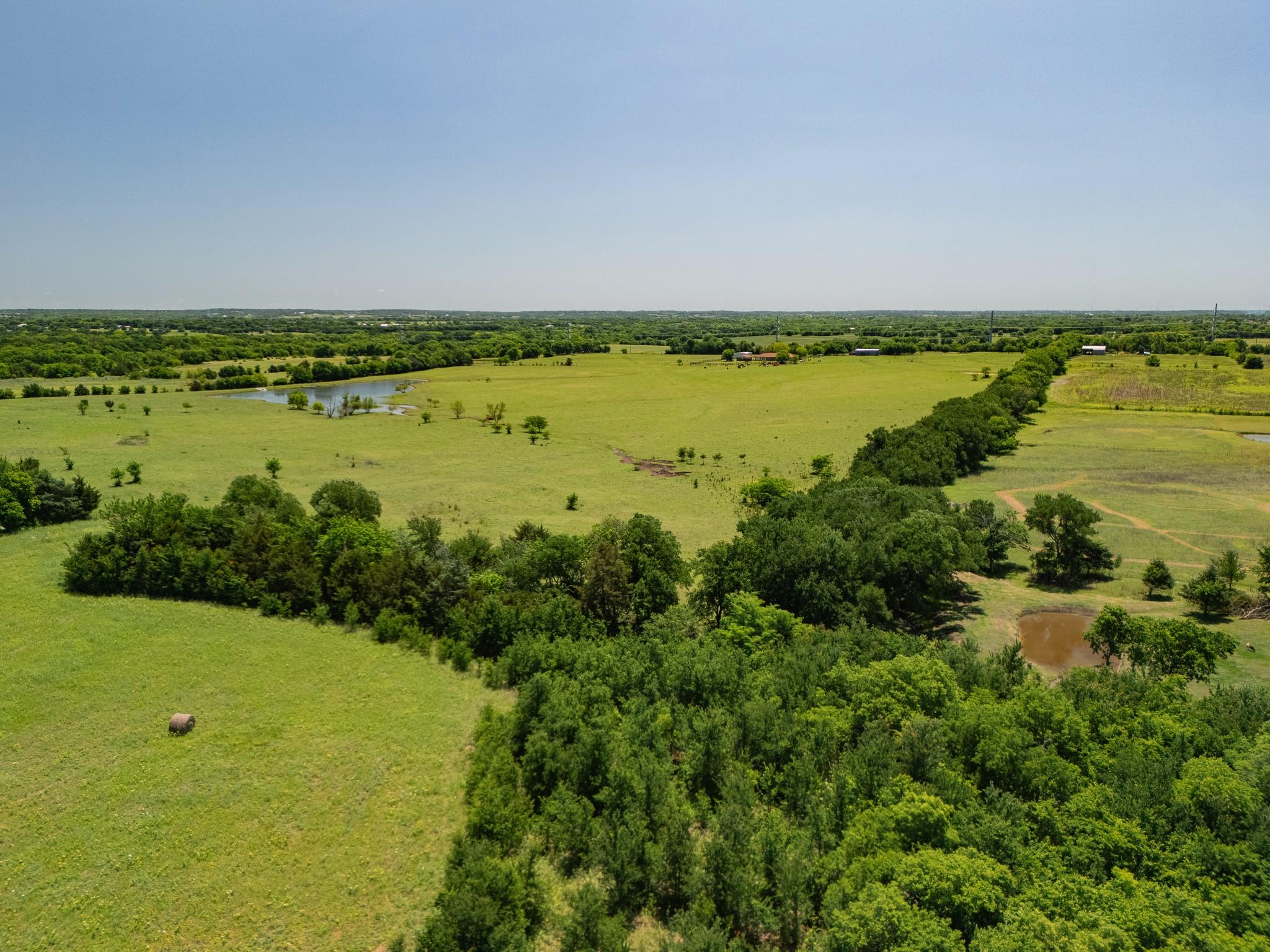 62.65 acre tract near Blue Ridge, Collin County — thumbnail 44